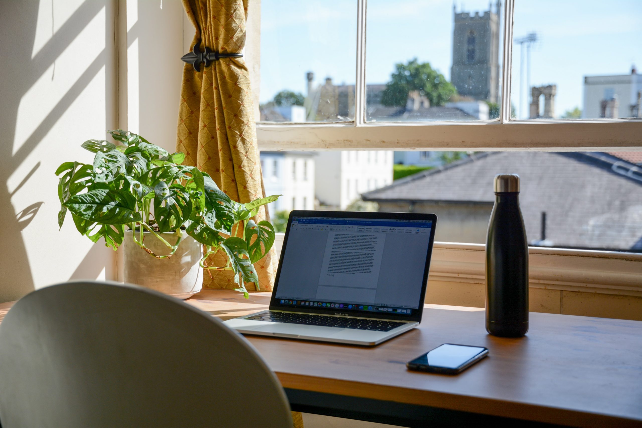 Desk setup with a plant, laptop, and a water bottle